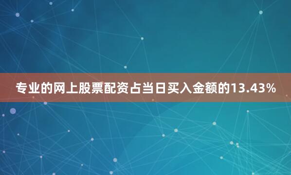 专业的网上股票配资占当日买入金额的13.43%