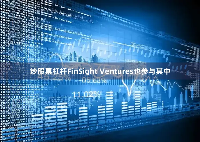 炒股票杠杆FinSight Ventures也参与其中